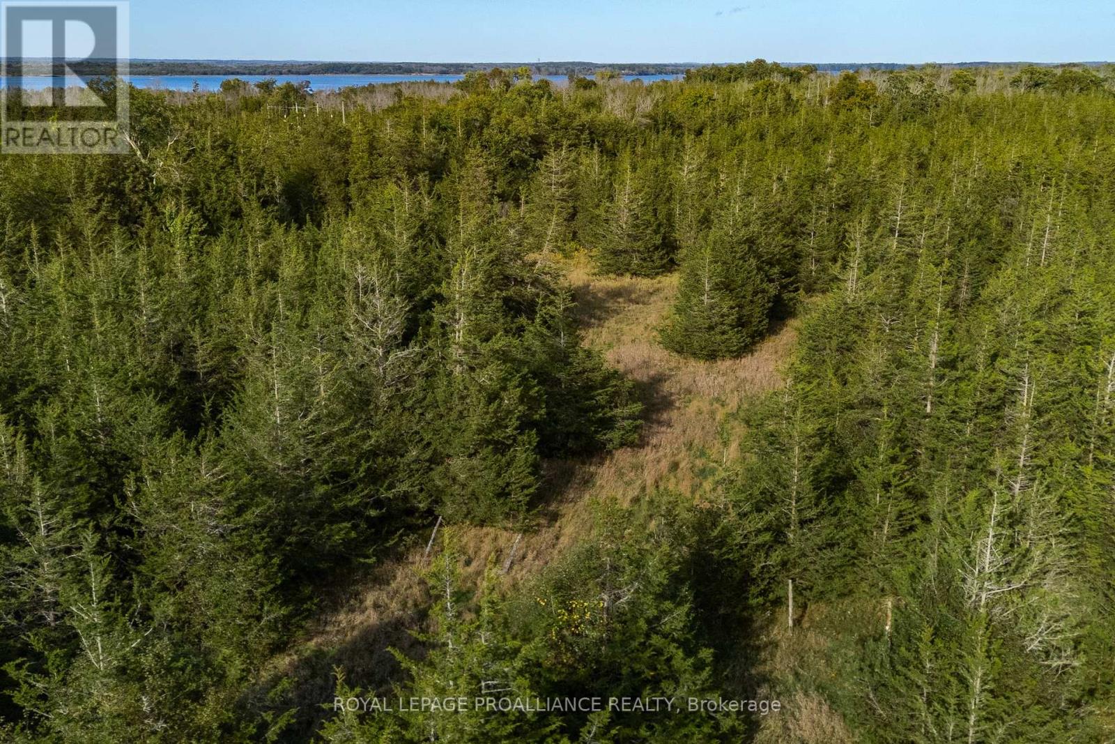 Lot 45 Sprague Road, Prince Edward County, Ontario K0K 1W0 - Photo 13 - X6685510