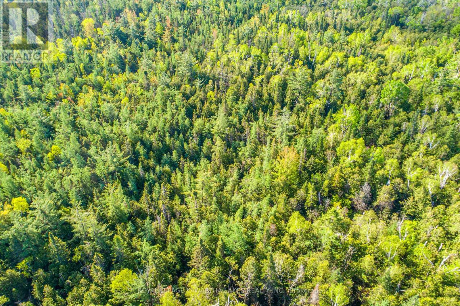 Lot 3 Black School Road, Kawartha Lakes, Ontario K0M 2C0 - Photo 16 - X12175477