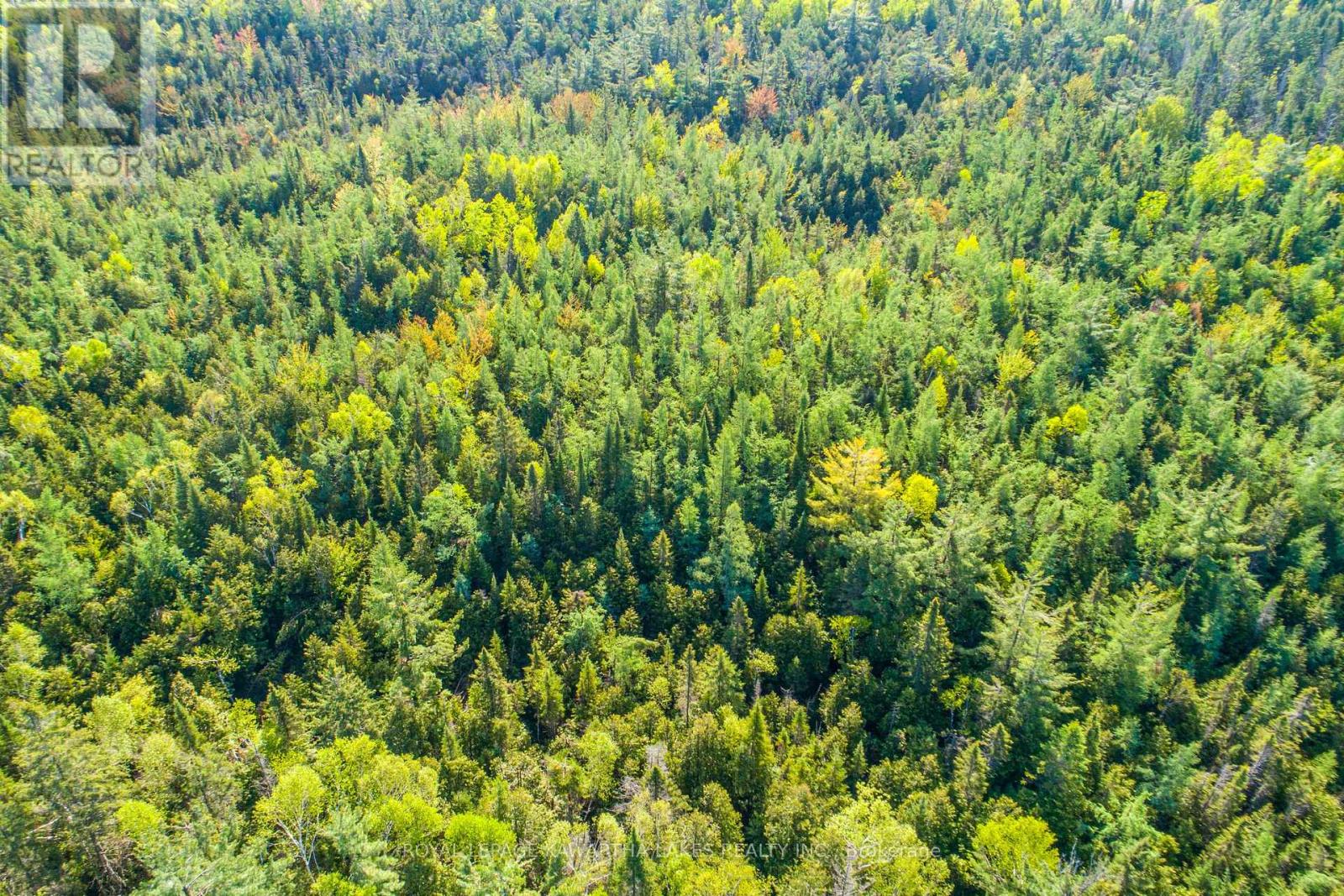 Lot 3 Black School Road, Kawartha Lakes, Ontario K0M 2C0 - Photo 17 - X12175477