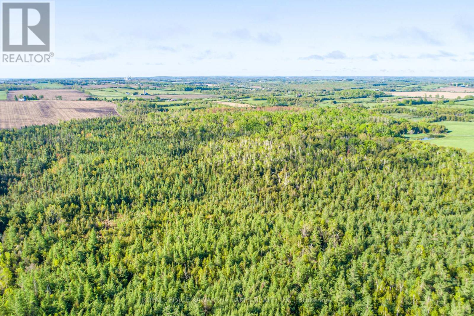 Lot 3 Black School Road, Kawartha Lakes, Ontario K0M 2C0 - Photo 6 - X12175477
