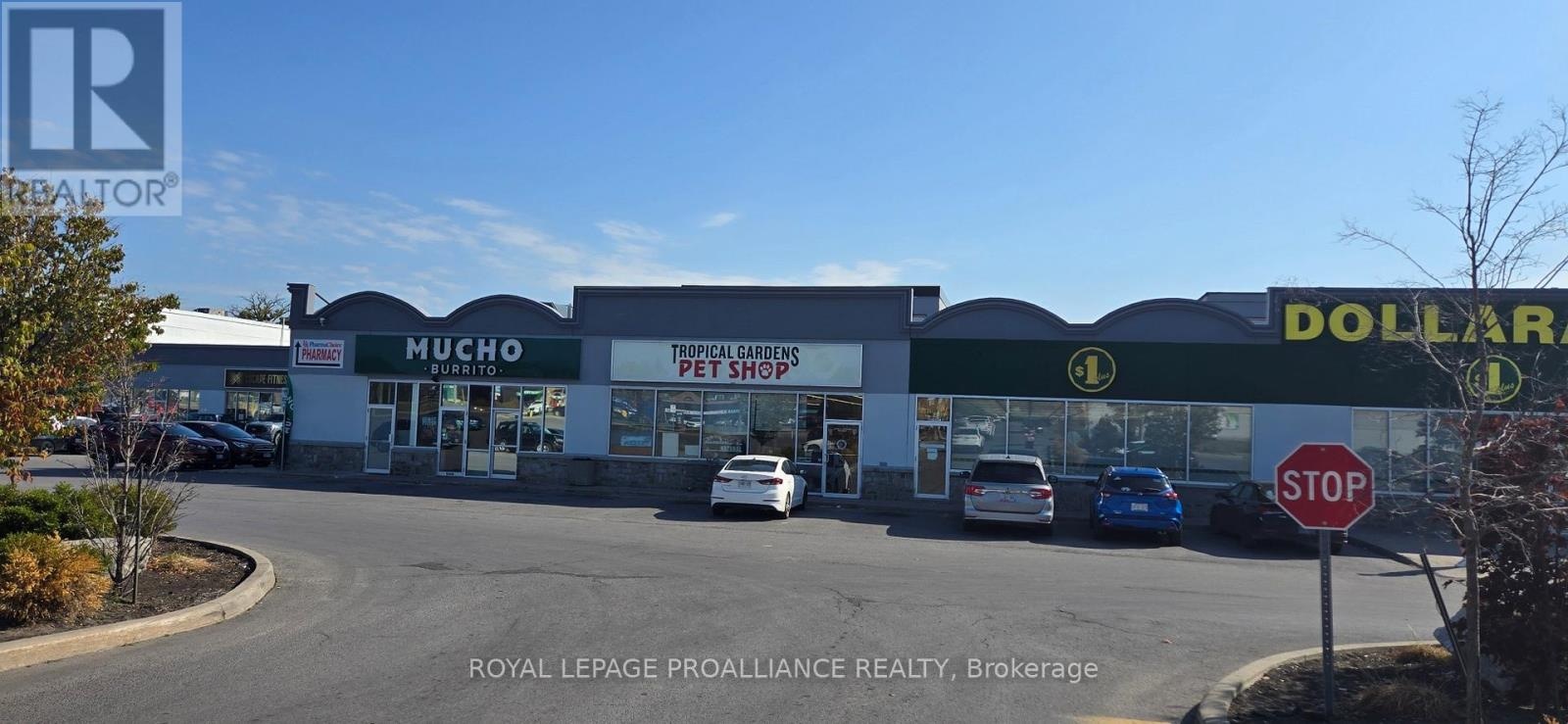 12 - 161 Bridge Street W, Belleville, Ontario K8P 1K2 - Photo 1 - X12403601