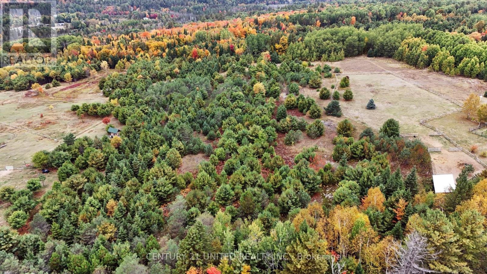 0 Mclean Road, Hastings Highlands, Ontario K0L 2R0 - Photo 2 - X12451318