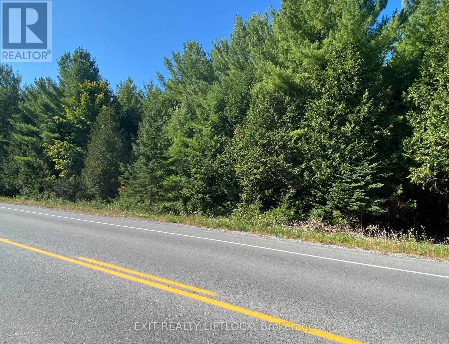 590 County Rd 40, Douro-Dummer, Ontario  K0L 2V0 - Photo 3 - X12496888