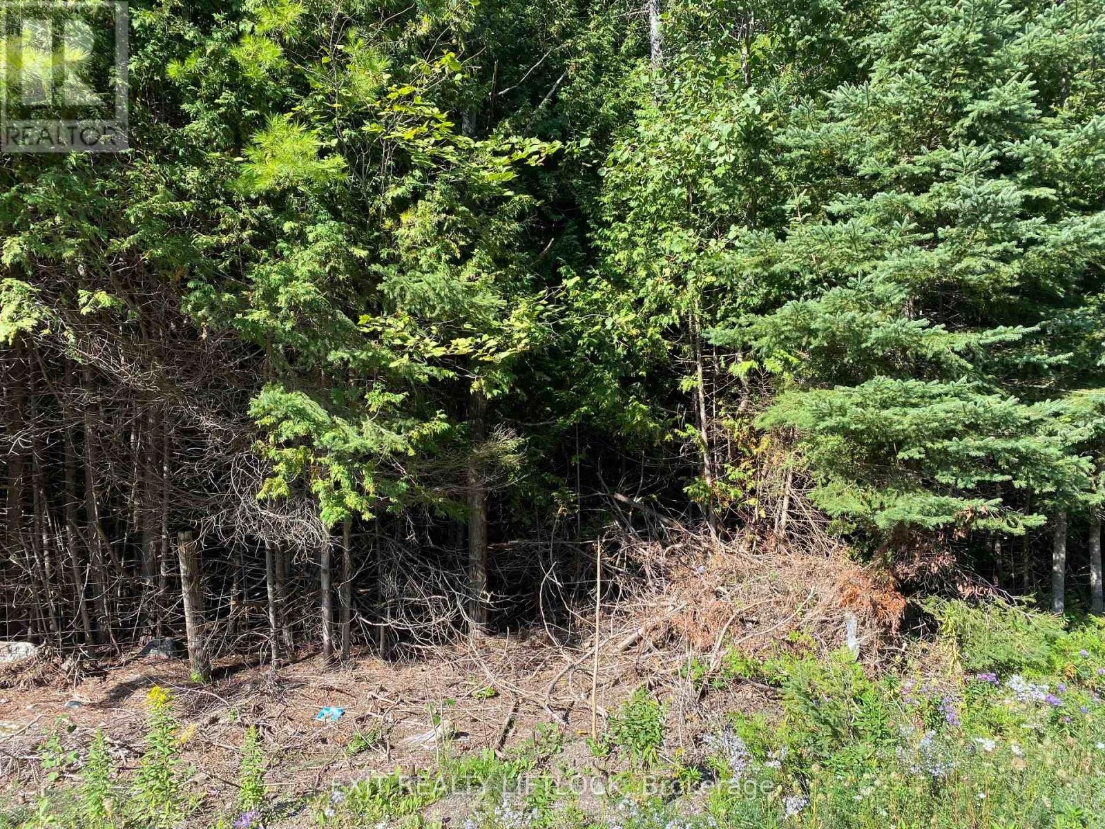 590 County Rd 40, Douro-Dummer, Ontario  K0L 2V0 - Photo 5 - X12496888