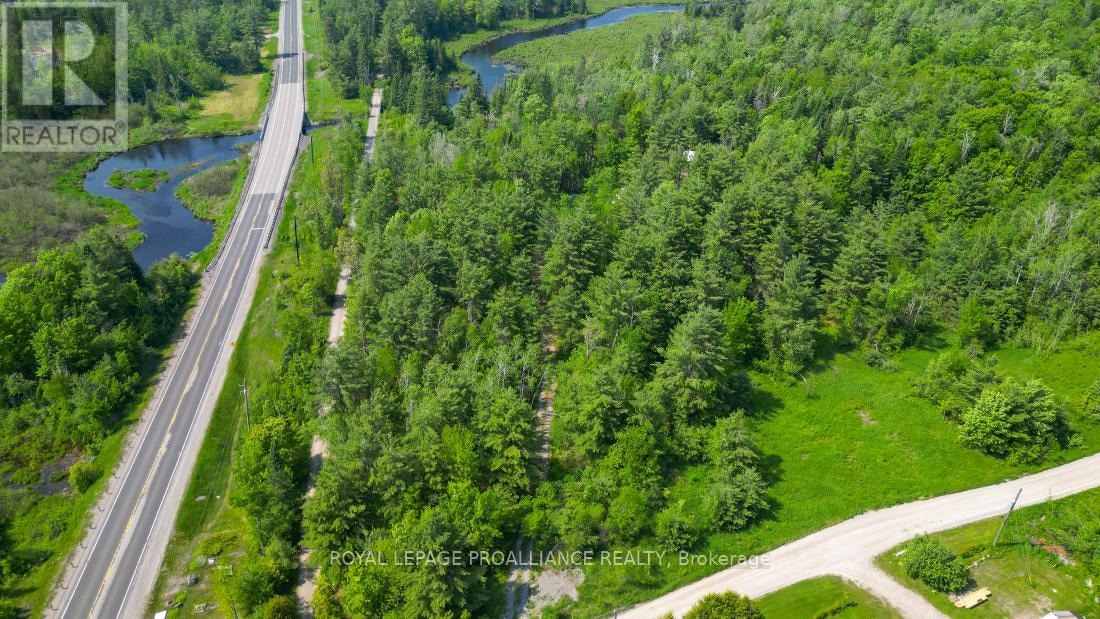 4 Wolf Lake Road, Madoc, Ontario  K0K 1Y0 - Photo 1 - X12616676