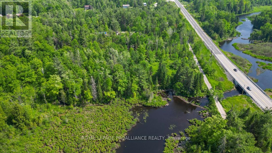 4 Wolf Lake Road, Madoc, Ontario  K0K 1Y0 - Photo 15 - X12616676