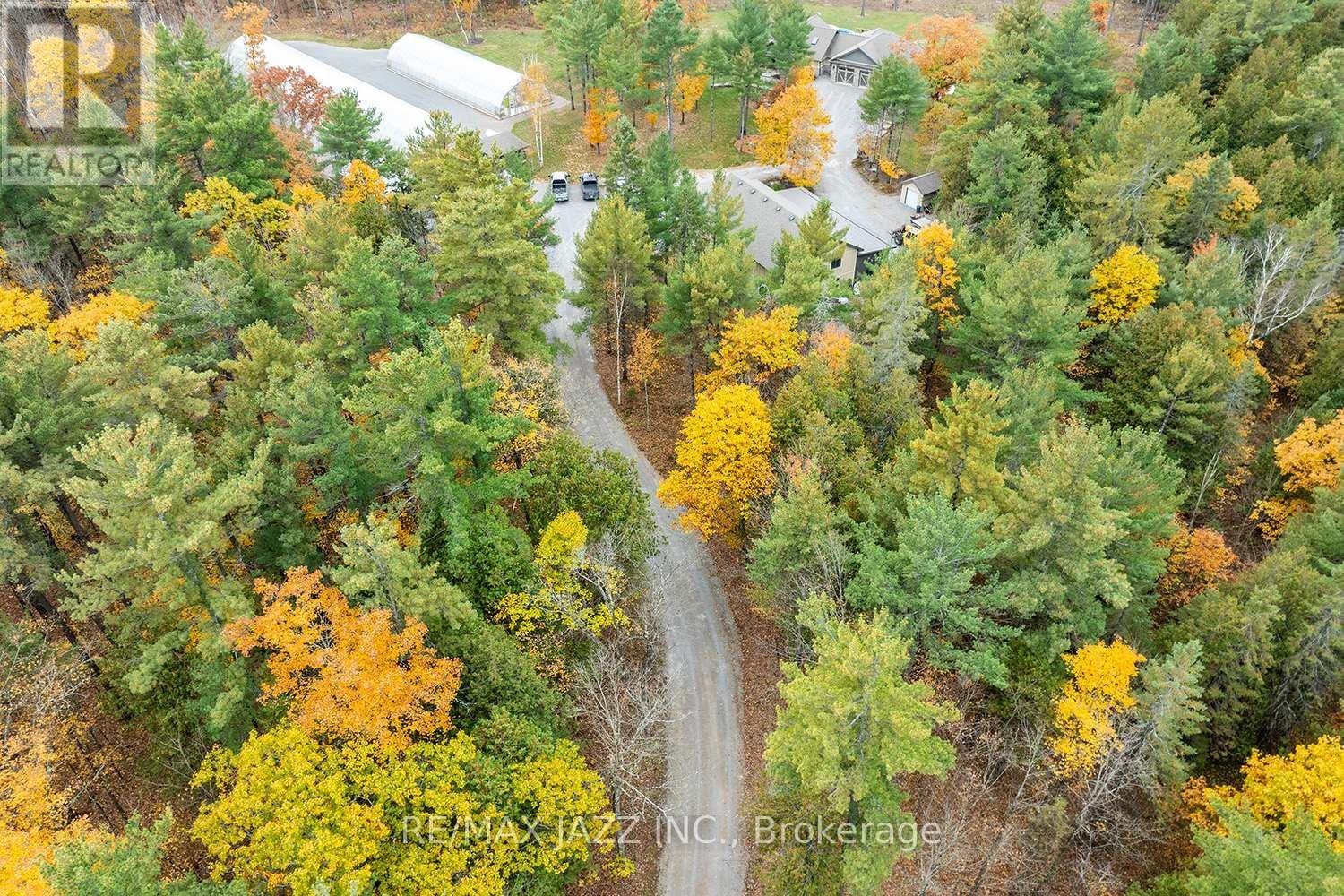 19 Ledge Road, Trent Lakes, Ontario  K0M 1A0 - Photo 30 - X12498744