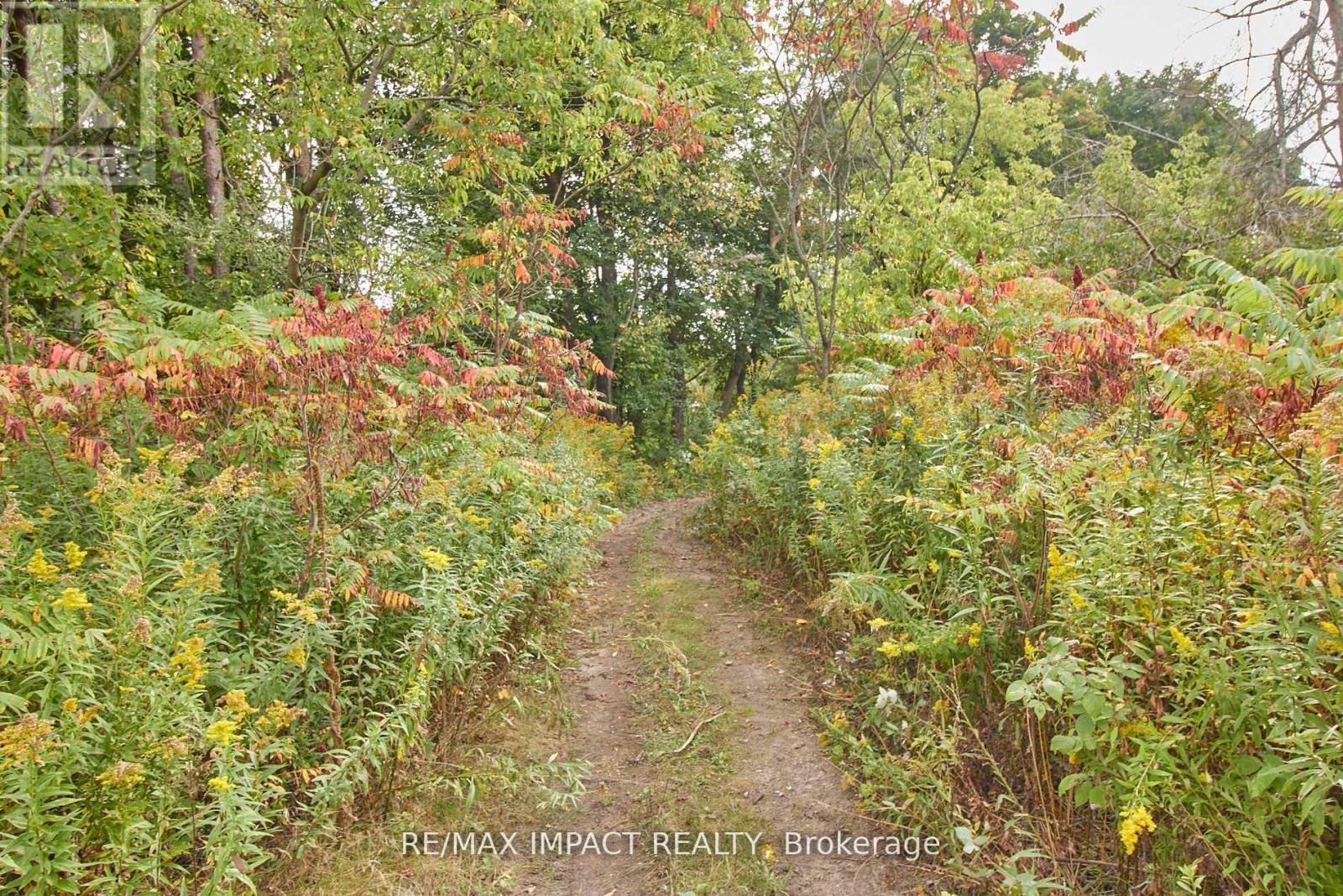 10249 Old Scugog Road, Clarington, Ontario  L0B 1B0 - Photo 24 - E12661292