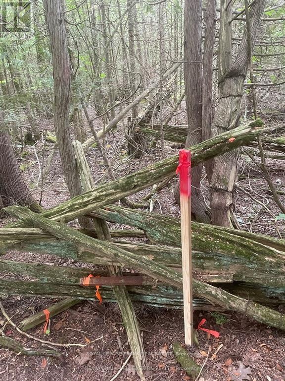 00 Adams-Cummings Road, Trent Lakes, Ontario  K0L 2J0 - Photo 12 - X12663848