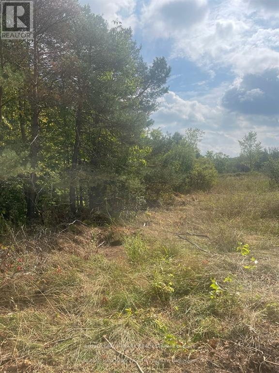 00 Adams-Cummings Road, Trent Lakes, Ontario  K0L 2J0 - Photo 13 - X12663848
