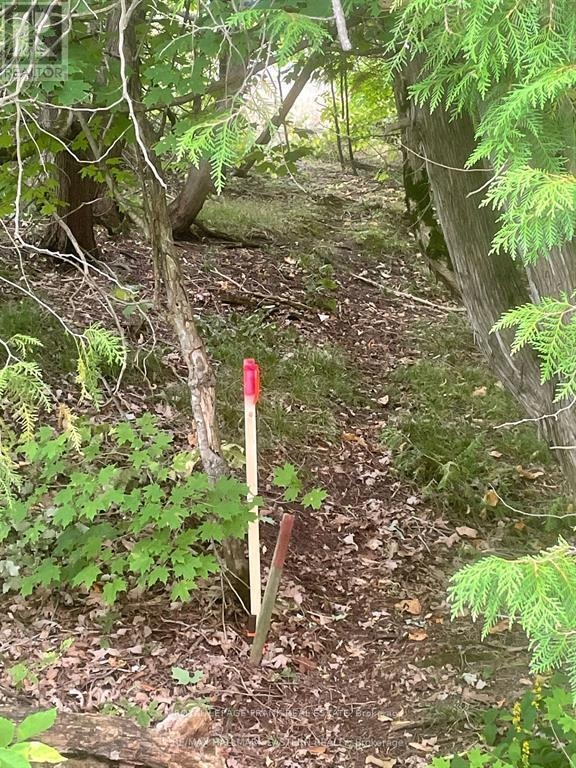 00 Adams-Cummings Road, Trent Lakes, Ontario  K0L 2J0 - Photo 2 - X12663848