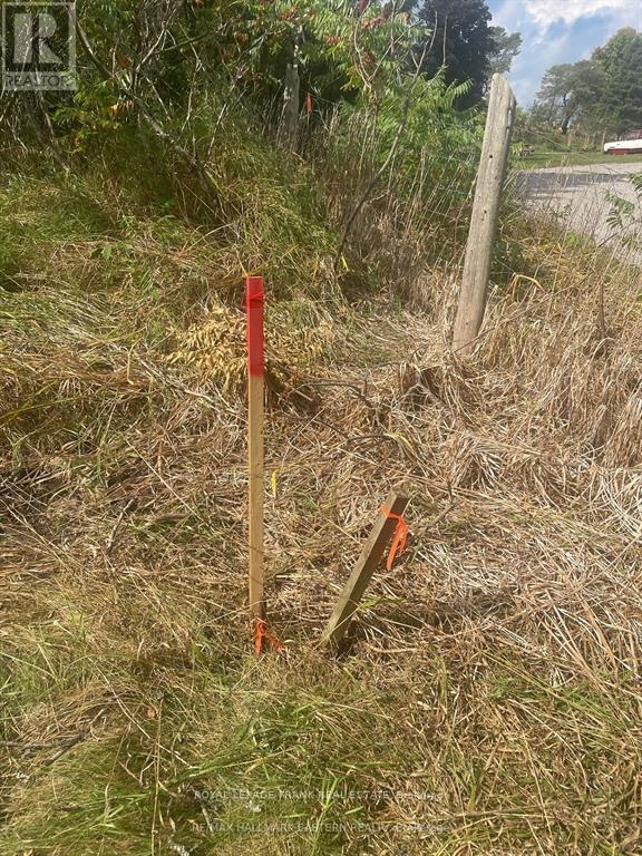 00 Adams-Cummings Road, Trent Lakes, Ontario  K0L 2J0 - Photo 6 - X12663848