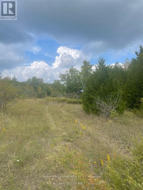 00 Adams-Cummings Road, Trent Lakes, Ontario  K0L 2J0 - Photo 9 - X12663848