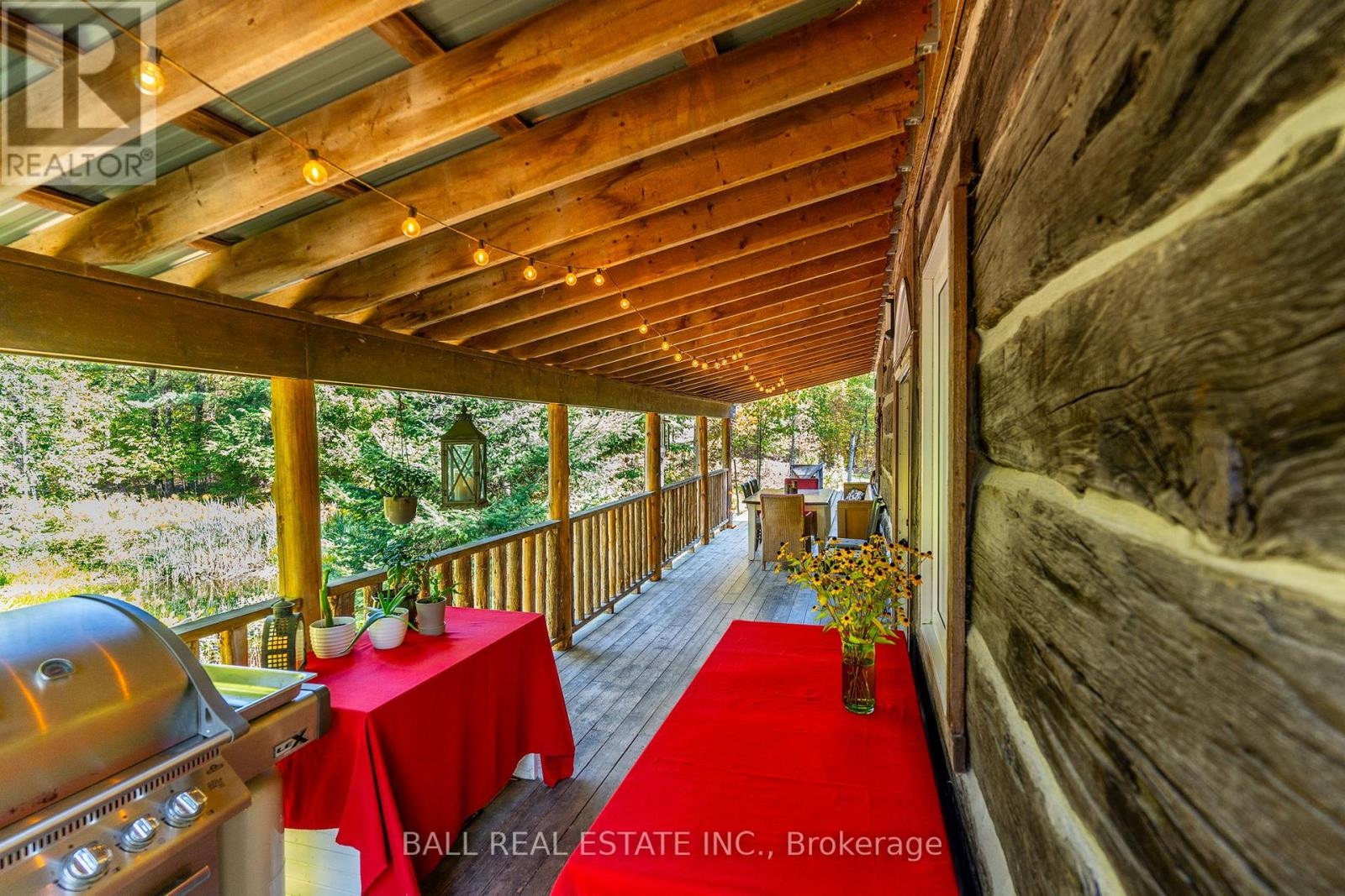 221 Edwina Drive, Trent Lakes, Ontario  K0M 1A0 - Photo 24 - X12749628