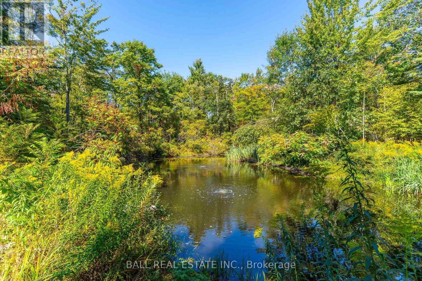 221 Edwina Drive, Trent Lakes, Ontario  K0M 1A0 - Photo 48 - X12749628