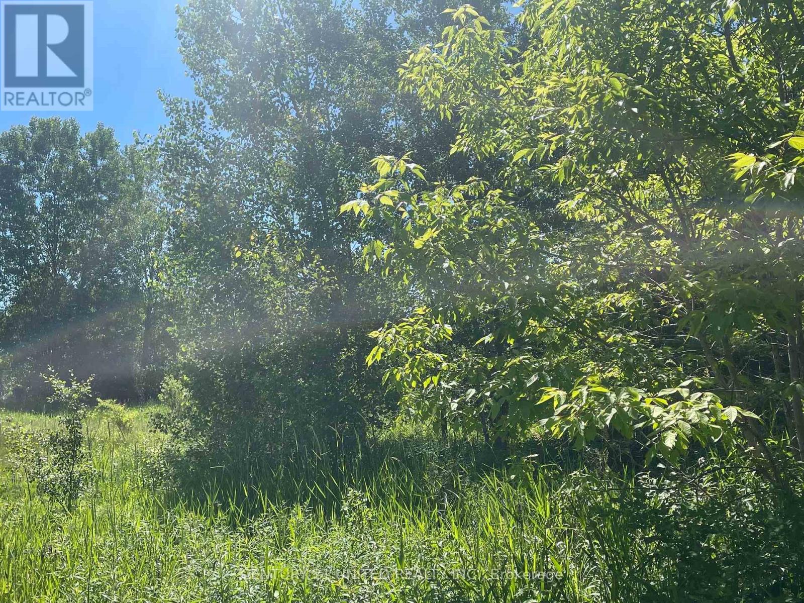 Part Lot 9 Workman Road, Cobourg, Ontario K9A 4J8 - Photo 7 - X12847422