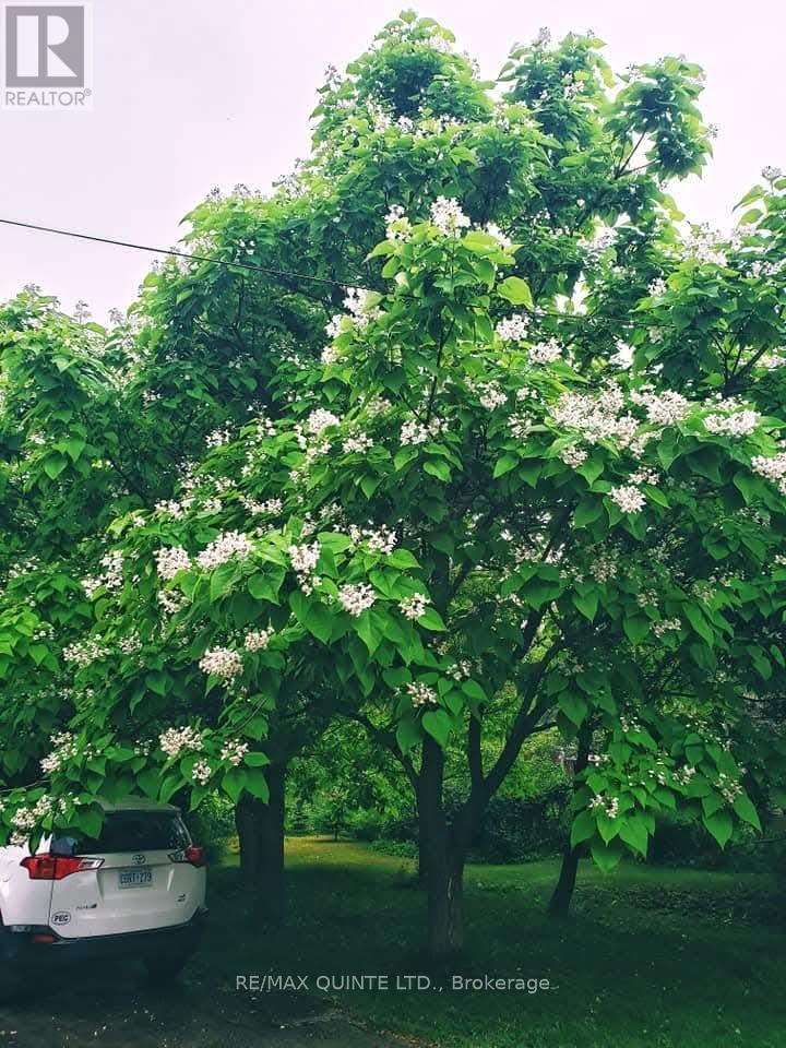 163 Main Street, Prince Edward County, Ontario  K0K 1G0 - Photo 36 - X12855046