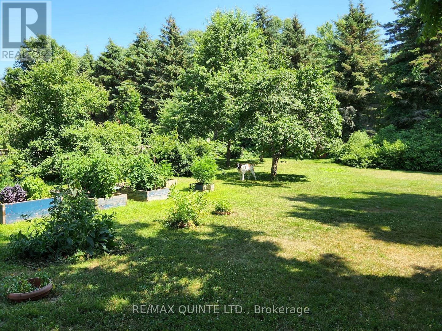 163 Main Street, Prince Edward County, Ontario  K0K 1G0 - Photo 37 - X12855046