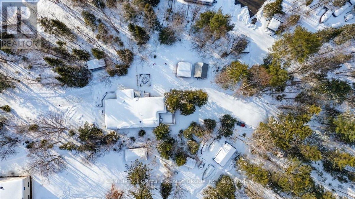 19 High Bush Road, Hastings Highlands, Ontario  K0L 2K0 - Photo 34 - X12925190