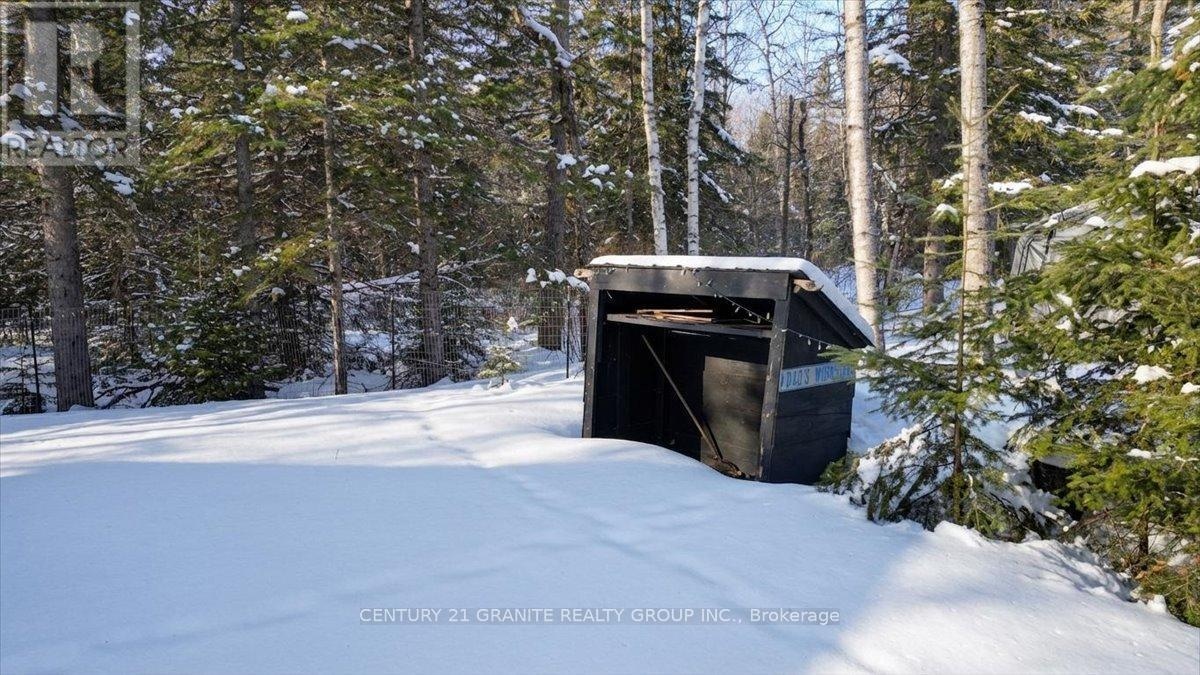 19 High Bush Road, Hastings Highlands, Ontario  K0L 2K0 - Photo 37 - X12925190