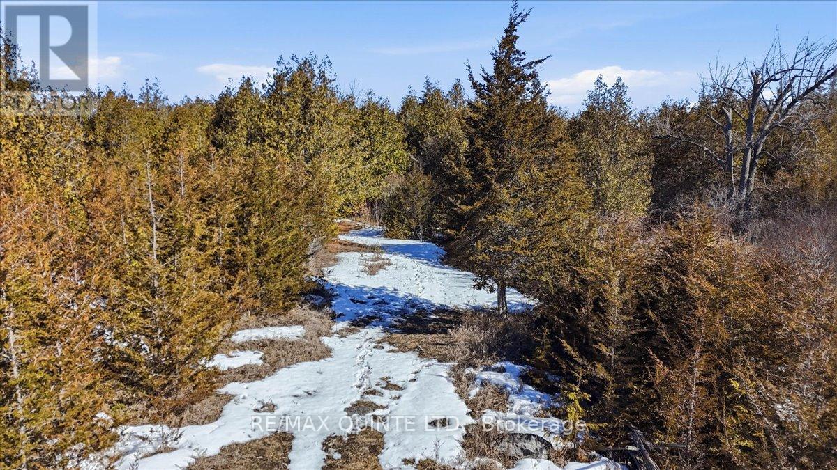267 Maple Sugar Road, Tyendinaga, Ontario K0K 3A0 - Photo 50 - X12938820