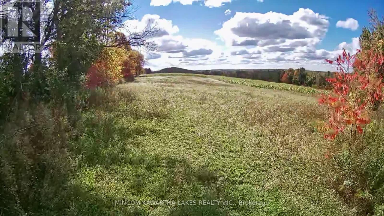 Pl 15 Base Line, Otonabee-South Monaghan, Ontario  K0L 2G0 - Photo 1 - X12978564