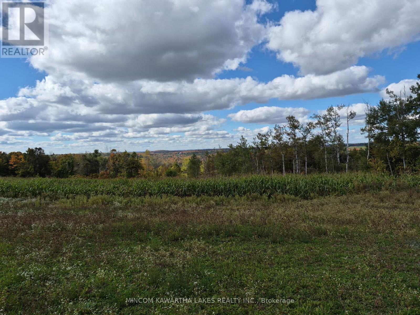 Pl 15 Base Line, Otonabee-South Monaghan, Ontario  K0L 2G0 - Photo 3 - X12978564