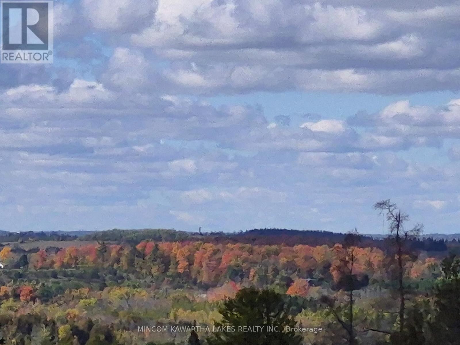 Pl 15 Base Line, Otonabee-South Monaghan, Ontario  K0L 2G0 - Photo 7 - X12978564