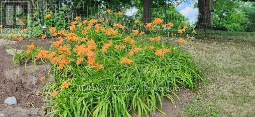 194 St Lawrence Street W, Centre Hastings, Ontario  K0K 2K0 - Photo 32 - X13000018