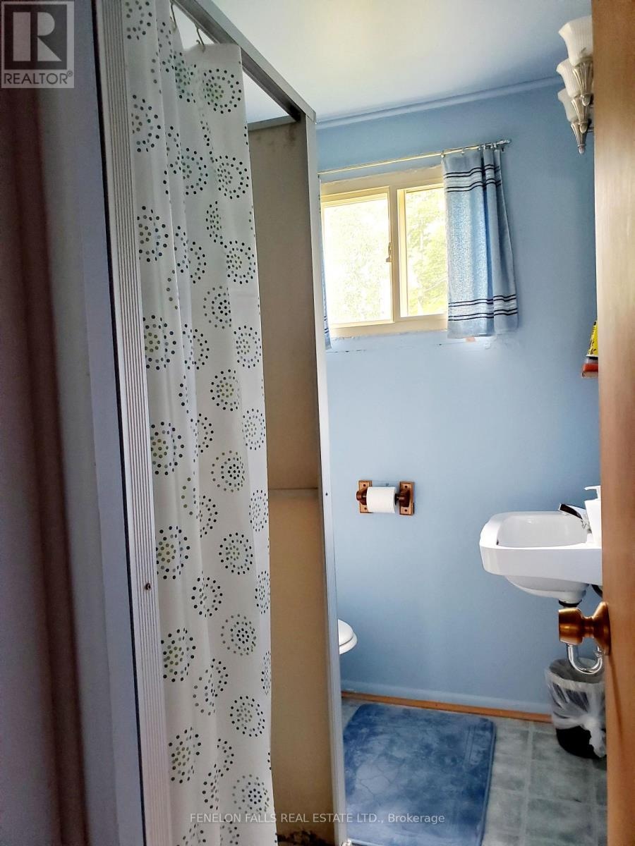 9 Gold Street, Kawartha Lakes, Ontario  K0M 1N0 - Photo 11 - X13036594