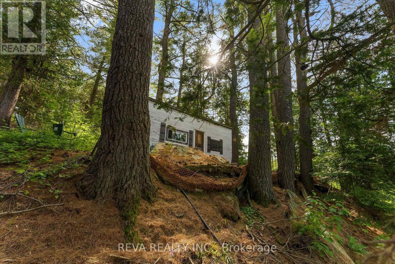 35532 Highway 28 Highway, Carlow/mayo, Ontario  K0L 2M0 - Photo 3 - X13037062