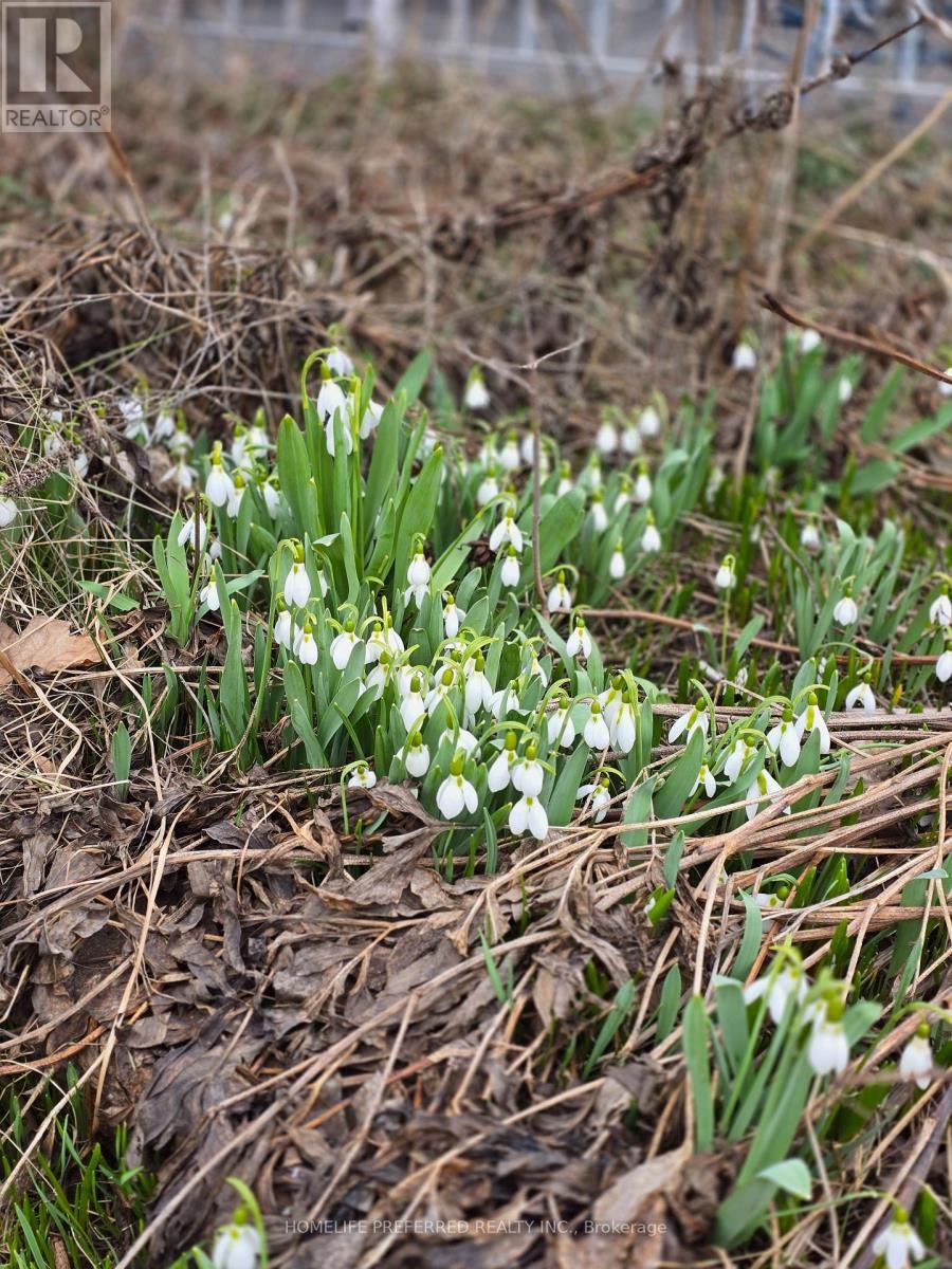 768 Water Street, Peterborough, Ontario  K9H 3N6 - Photo 48 - X12963632