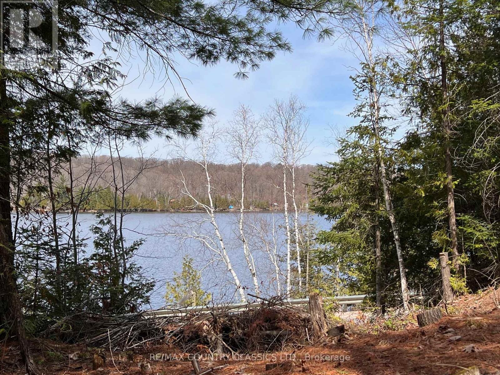 1322a Weslemkoon Lake Road, Tudor And Cashel, Ontario  K0L 1W0 - Photo 10 - X12895156