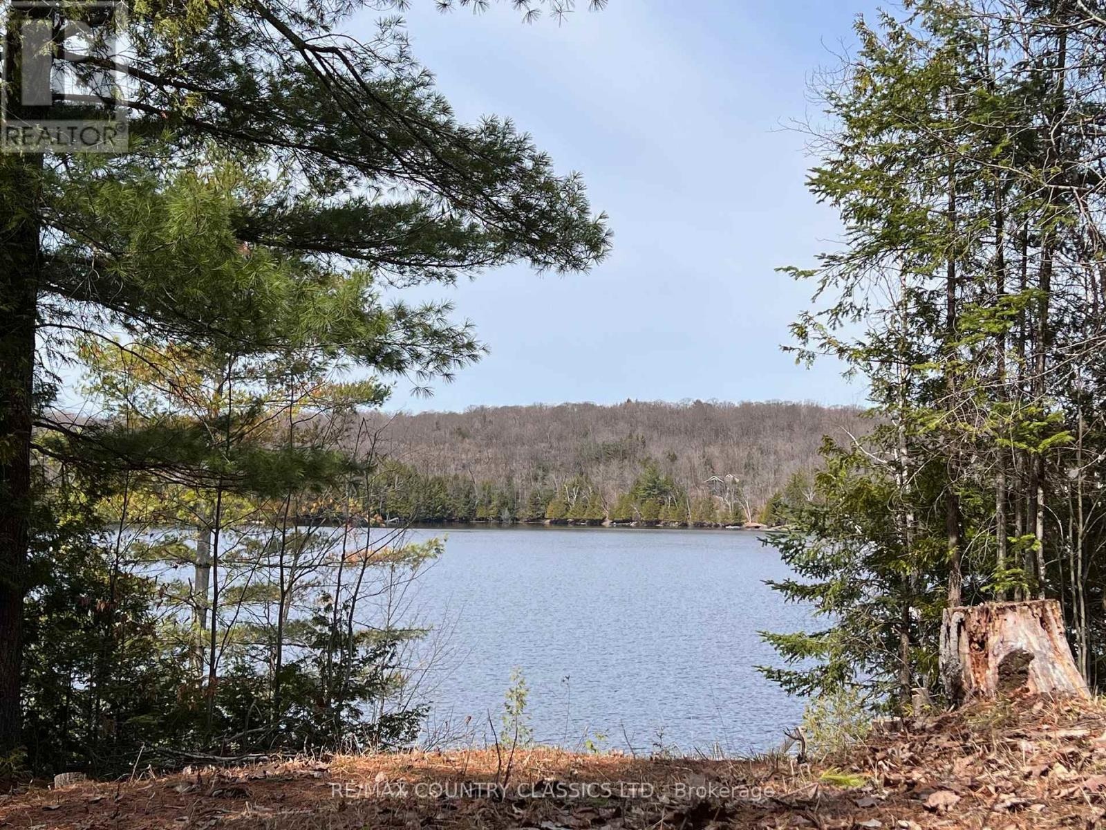 1322a Weslemkoon Lake Road, Tudor And Cashel, Ontario  K0L 1W0 - Photo 12 - X12895156