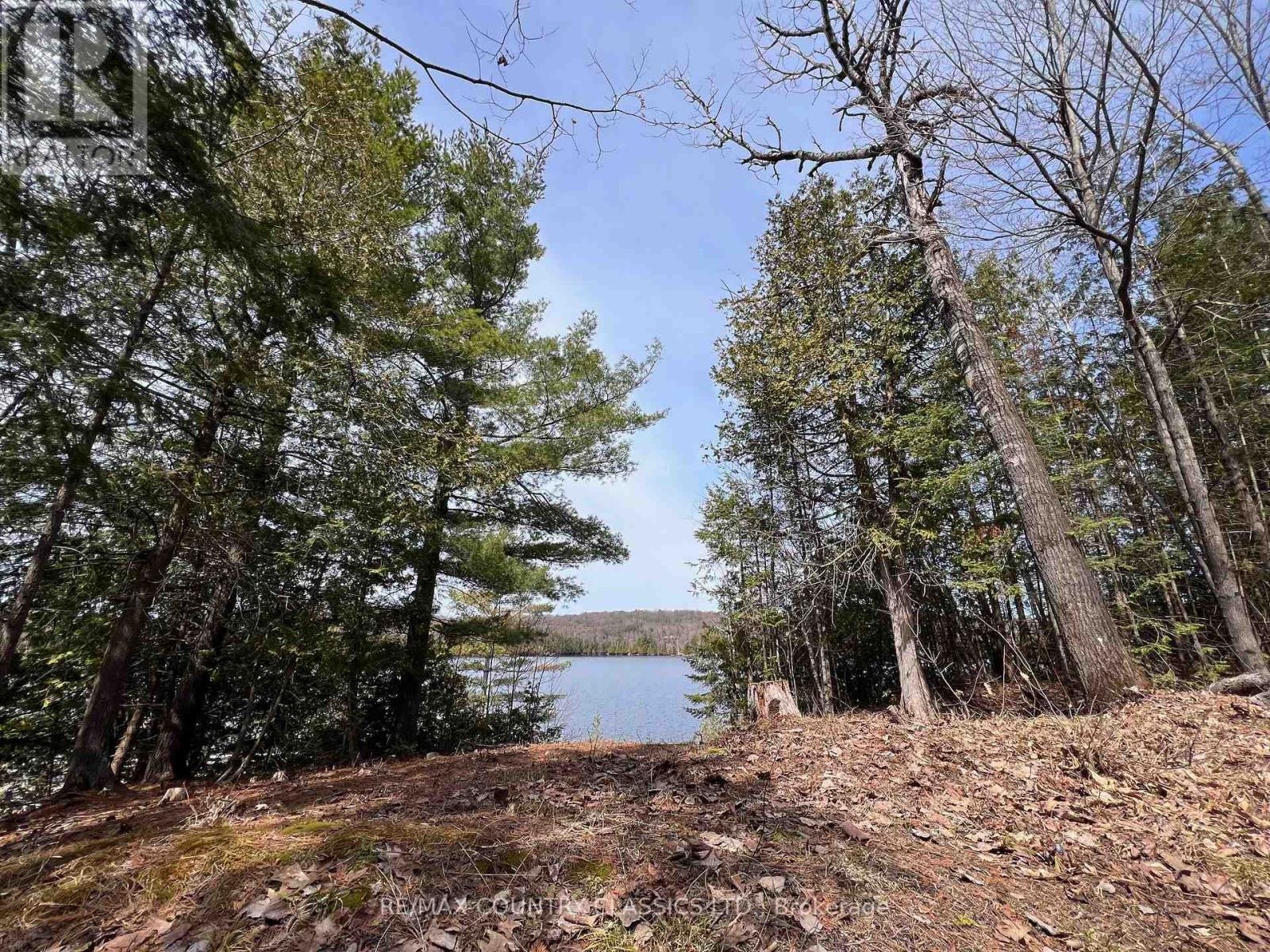 1322a Weslemkoon Lake Road, Tudor And Cashel, Ontario  K0L 1W0 - Photo 11 - X12895156