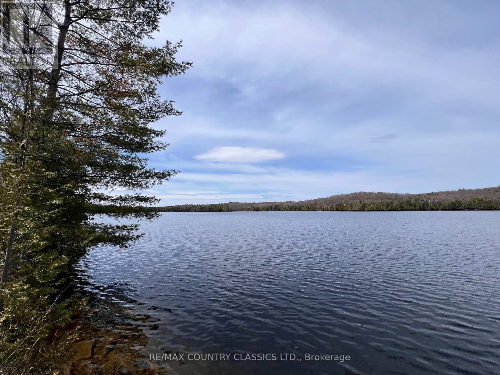 1322a Weslemkoon Lake Road, Tudor And Cashel, Ontario  K0L 1W0 - Photo 48 - X12895156
