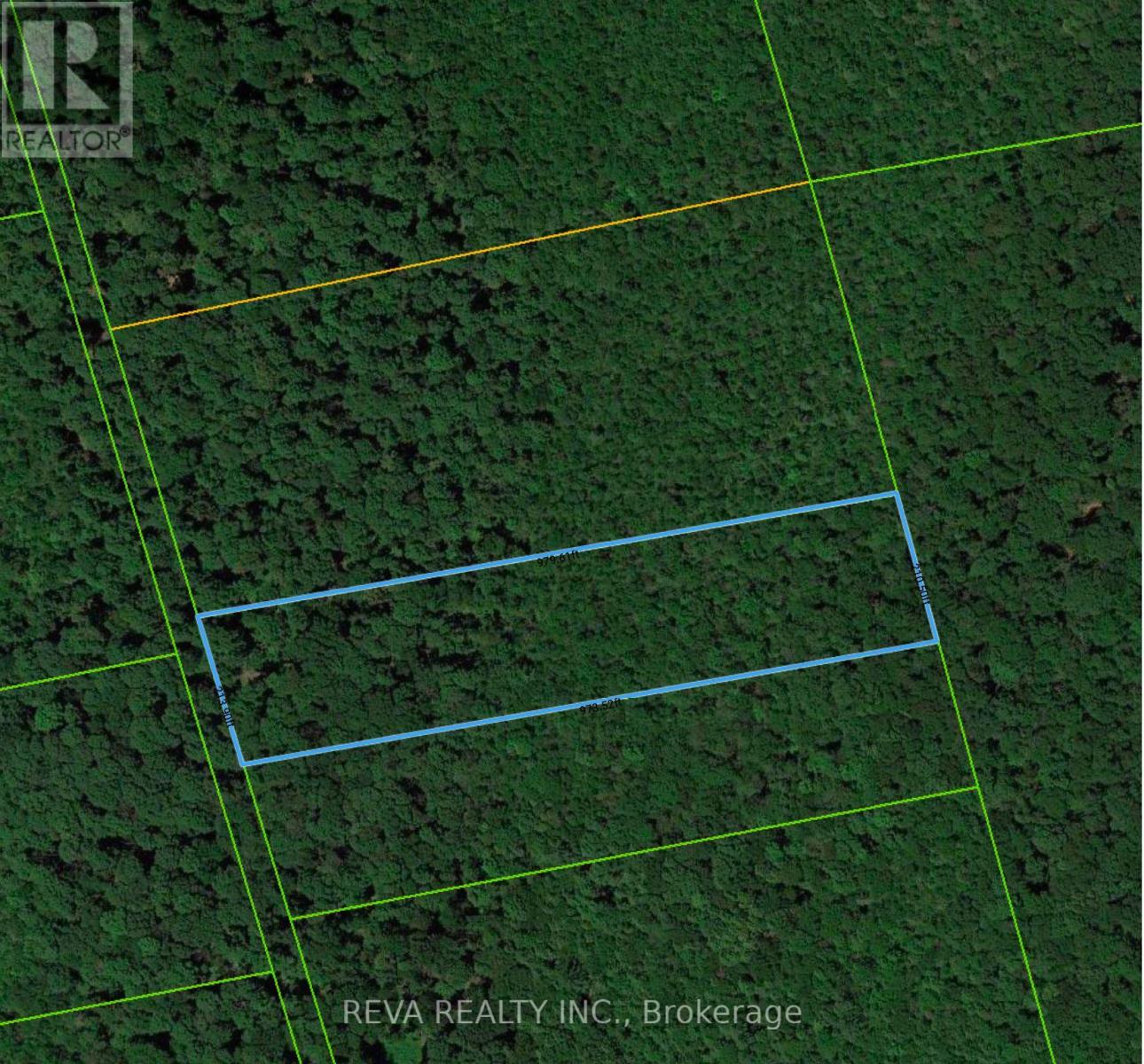 Pt Lt 3 Con 5, Brant, Ontario N0E 1A0 - Photo 5 - X13039984
