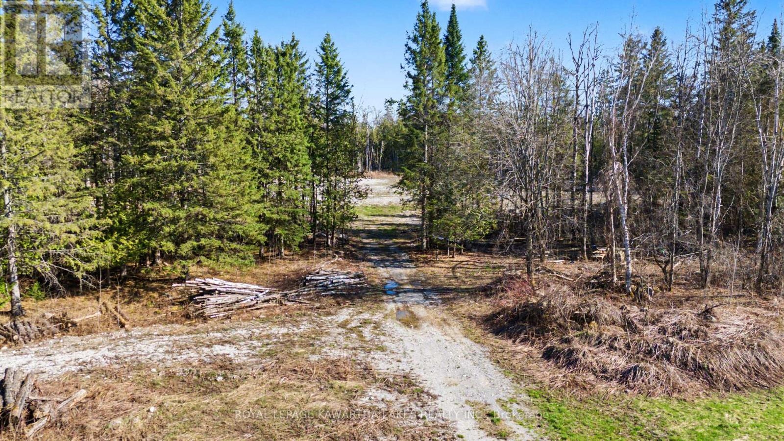 6369 Highway 35, Kawartha Lakes, Ontario  K0M 1K0 - Photo 1 - X13052316
