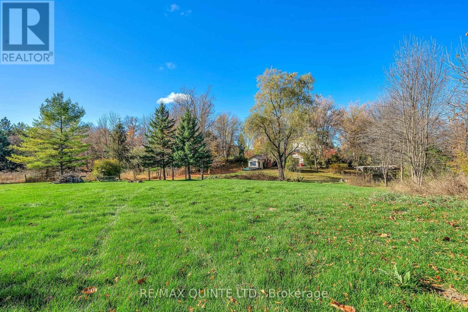 144 Wellington Street, Madoc, Ontario  K0K 2K0 - Photo 9 - X12900134