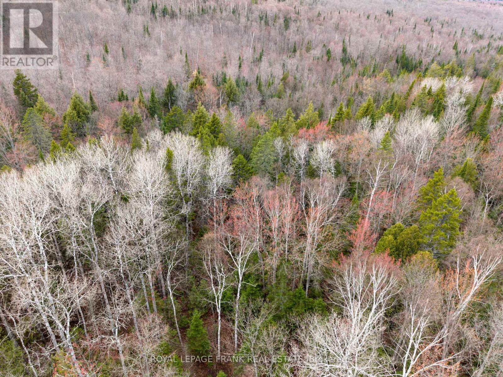 841 North Mckenzie Lake Road, South Algonquin, Ontario  K0J 2M0 - Photo 3 - X13070184