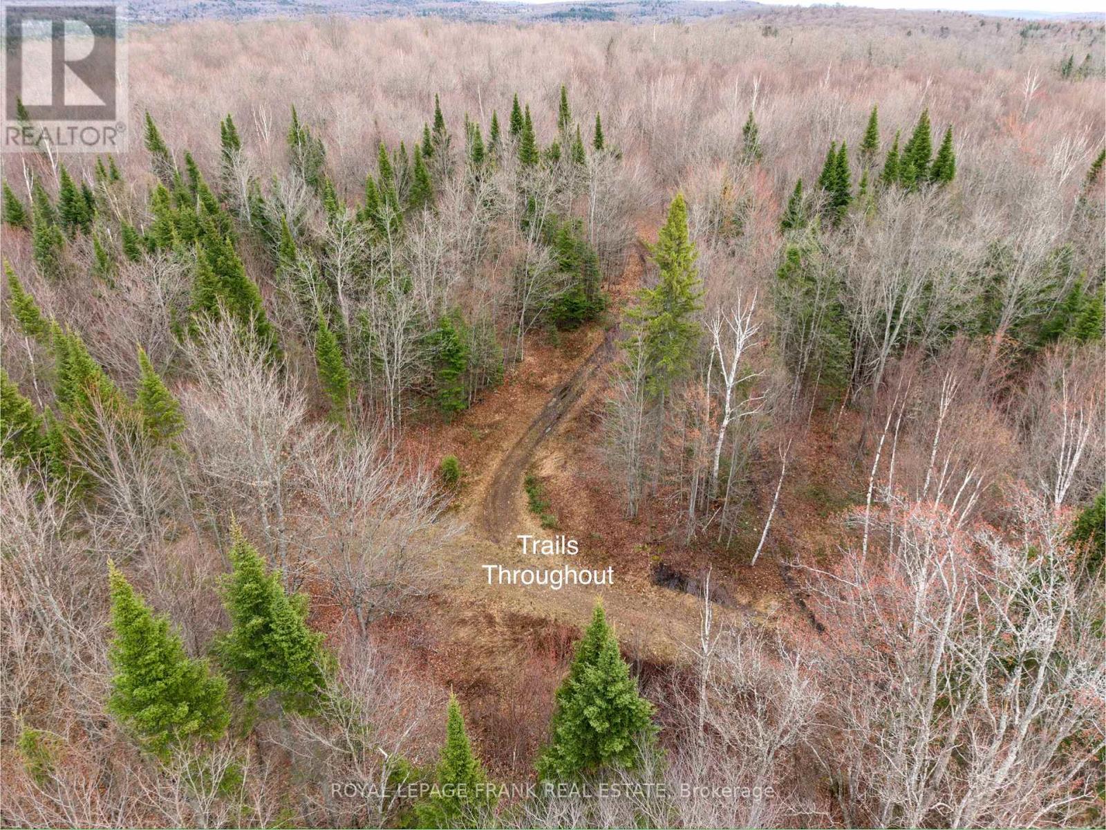 841 North Mckenzie Lake Road, South Algonquin, Ontario  K0J 2M0 - Photo 5 - X13070184