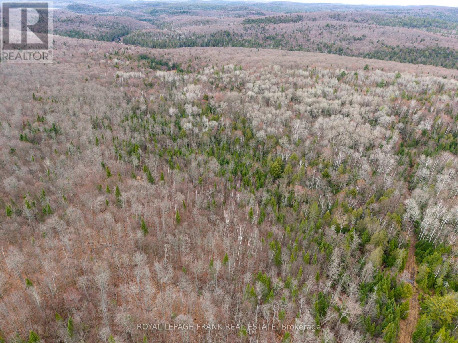 841 North Mckenzie Lake Road, South Algonquin, Ontario  K0J 2M0 - Photo 10 - X13070184