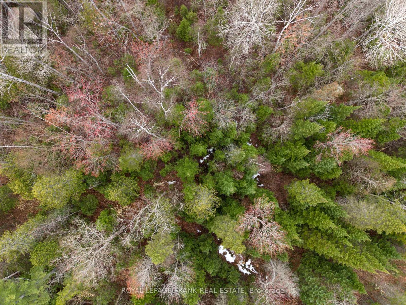 841 North Mckenzie Lake Road, South Algonquin, Ontario  K0J 2M0 - Photo 12 - X13070184
