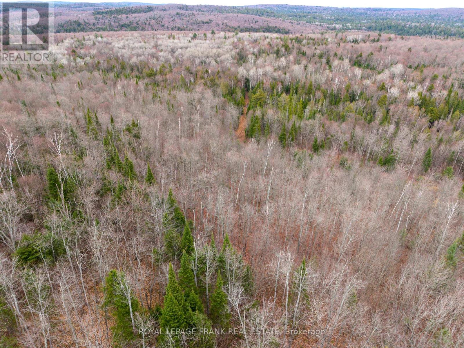 841 North Mckenzie Lake Road, South Algonquin, Ontario  K0J 2M0 - Photo 8 - X13070184