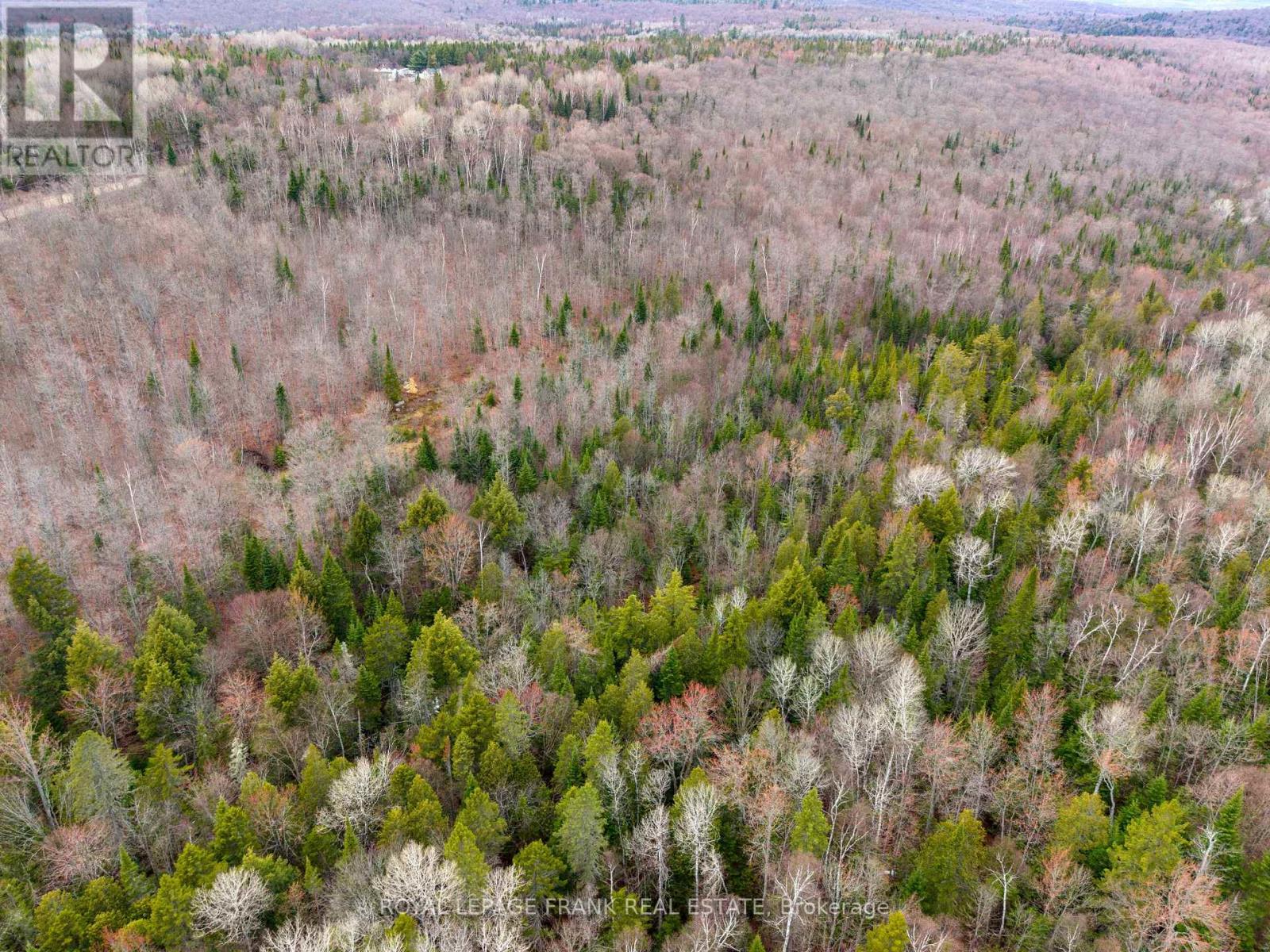 841 North Mckenzie Lake Road, South Algonquin, Ontario  K0J 2M0 - Photo 9 - X13070184