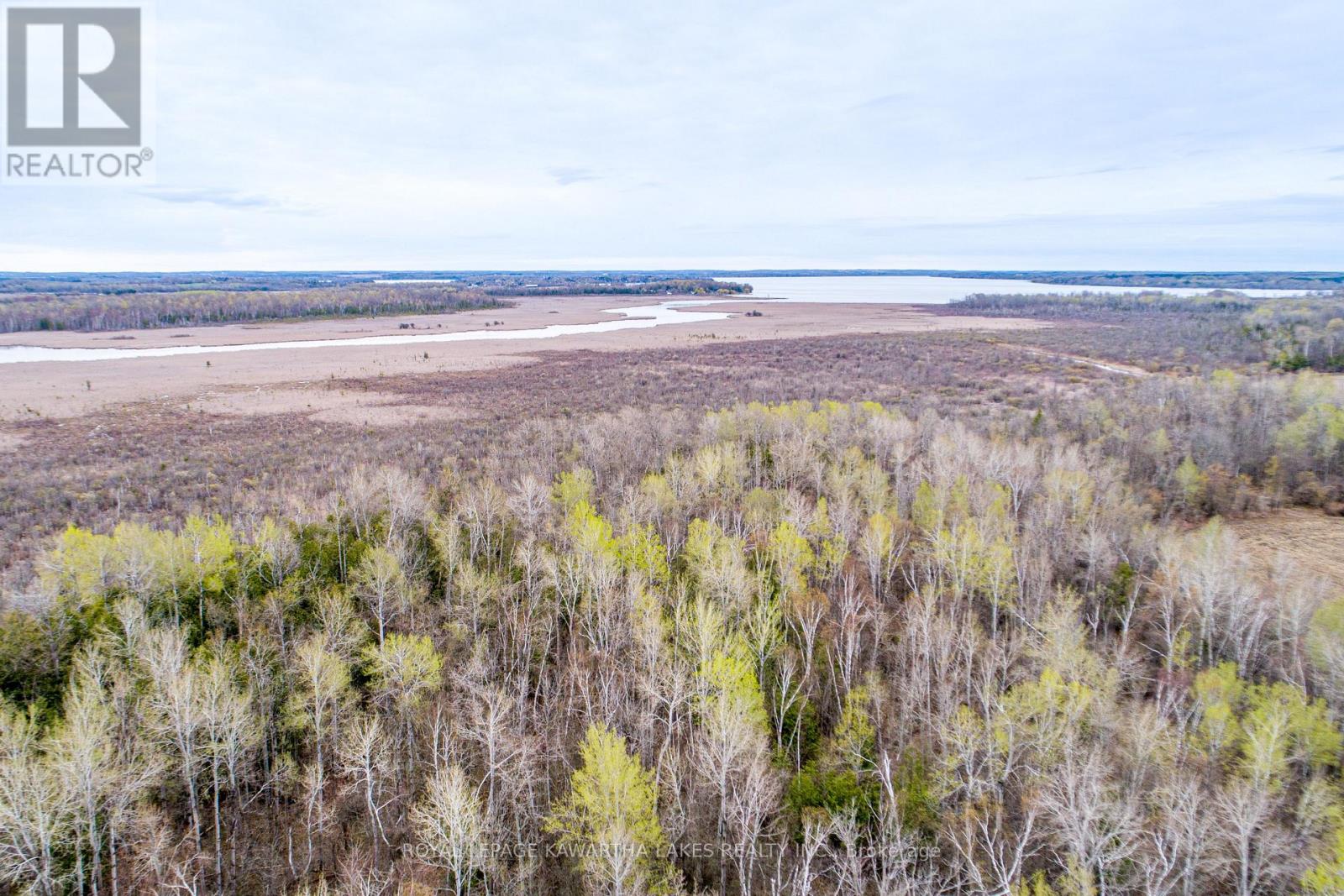 890 Ramsey Road, Kawartha Lakes, Ontario K0M 2C0 - Photo 14 - X13079264
