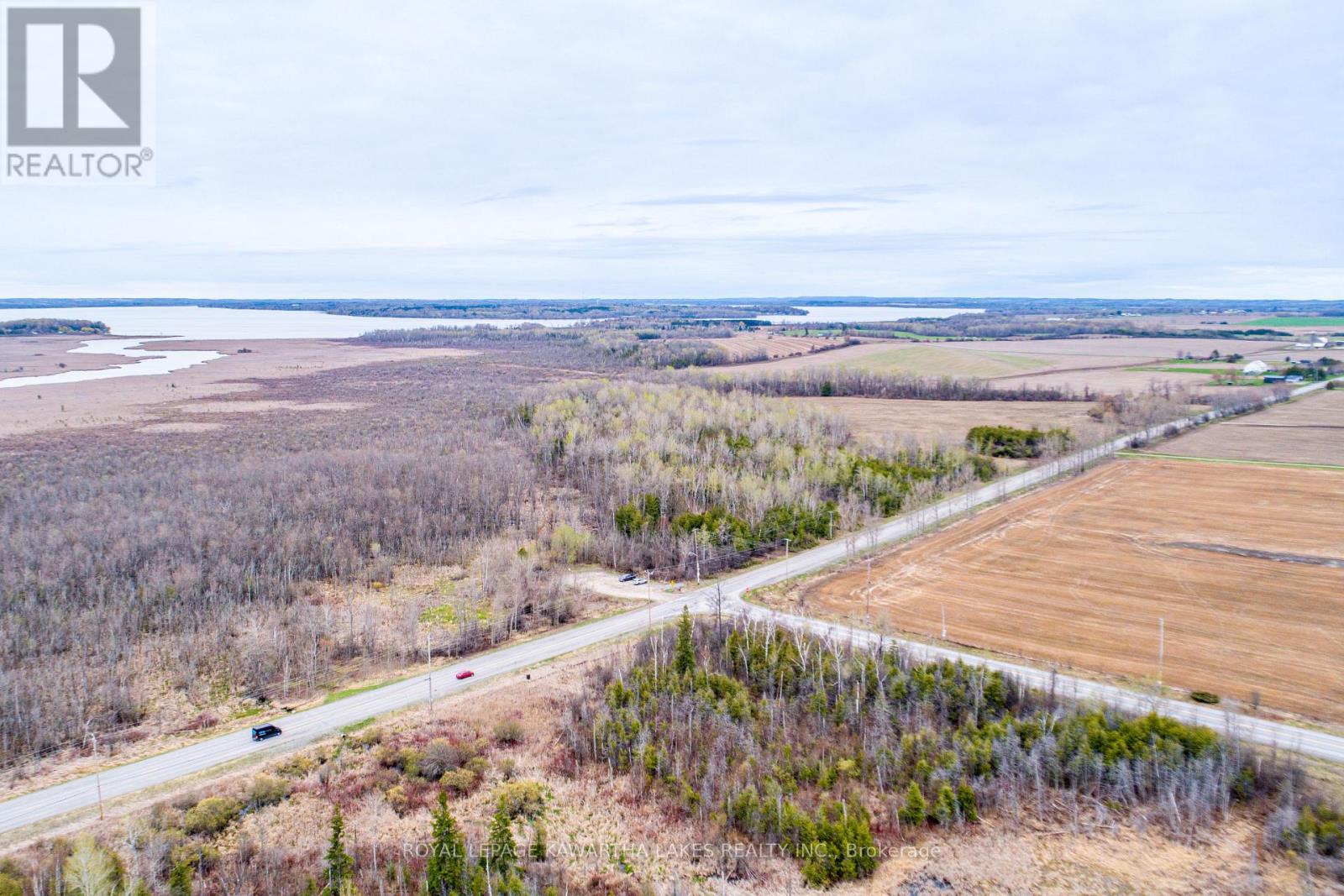 890 Ramsey Road, Kawartha Lakes, Ontario K0M 2C0 - Photo 8 - X13079264
