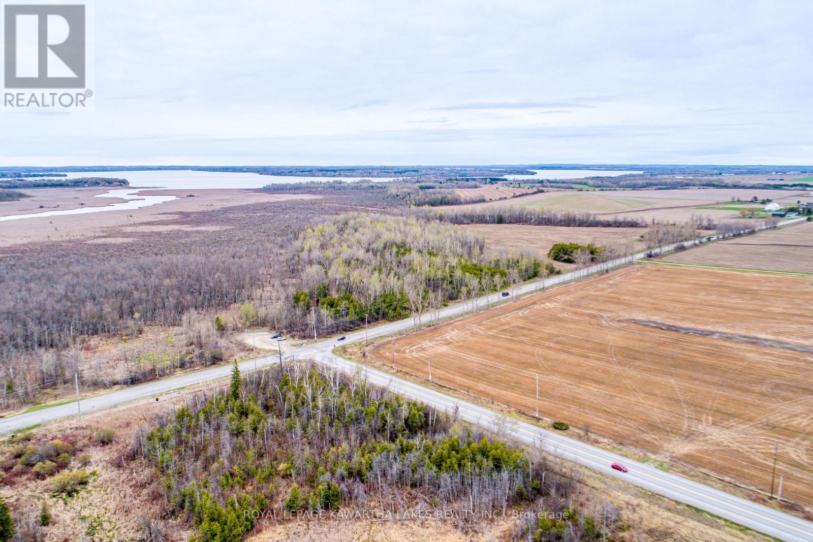 890 Ramsey Road, Kawartha Lakes, Ontario K0M 2C0 - Photo 9 - X13079264