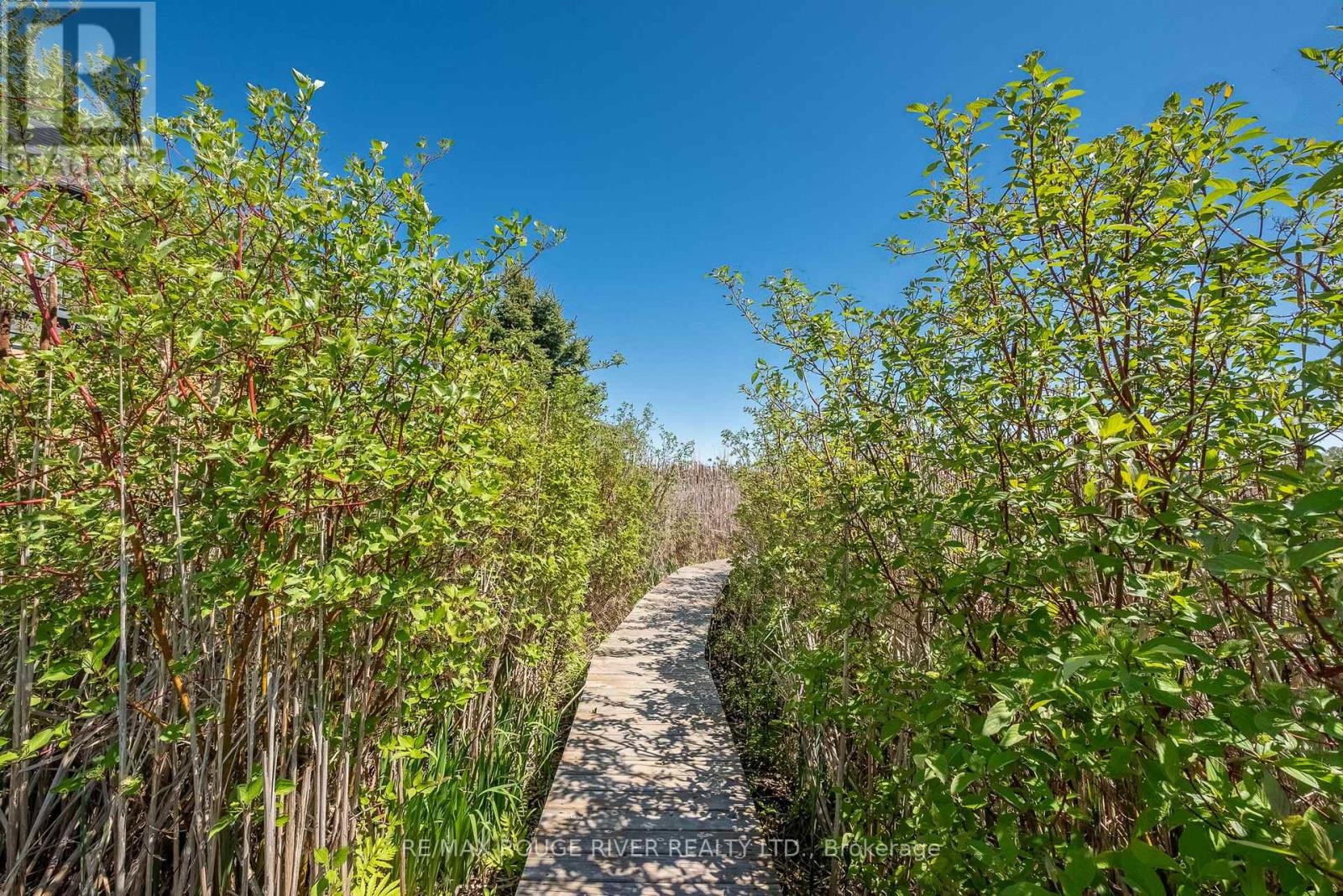 57 Harbour Street, Brighton, Ontario  K0K 1H0 - Photo 32 - X13097970