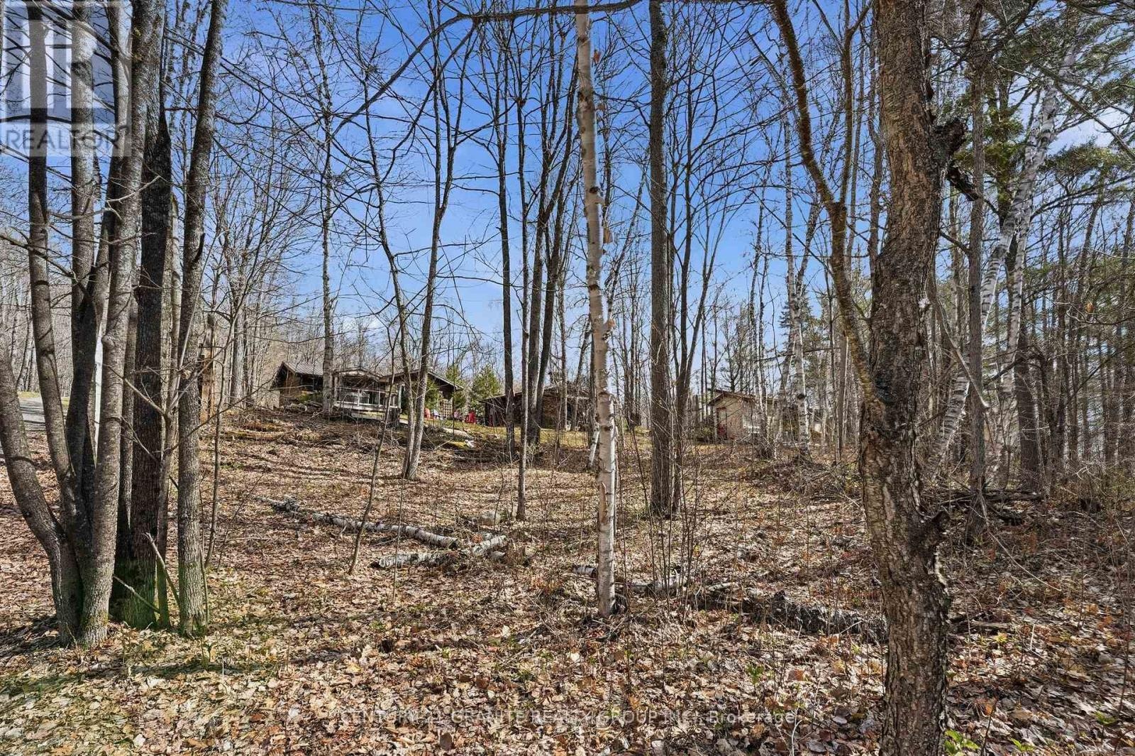 2349 N Baptise Lake Road, Hastings Highlands, Ontario K0L 1C0 - Photo 1 - X13112316